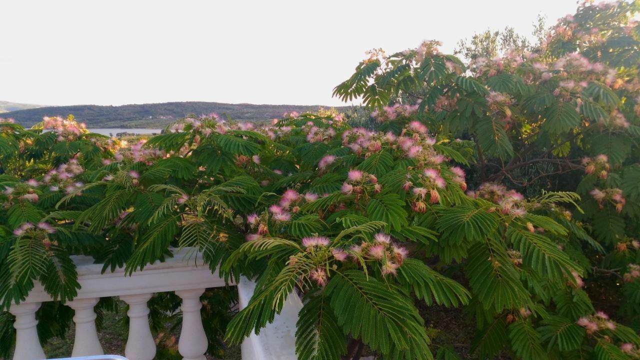 希贝尼克The Garden Of Elais别墅 外观 照片
